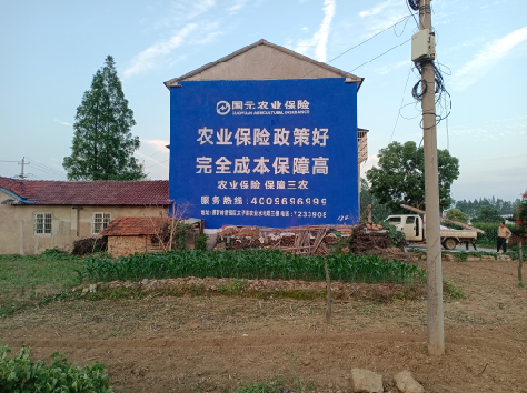 青川墙体广告的优劣势你知道吗？